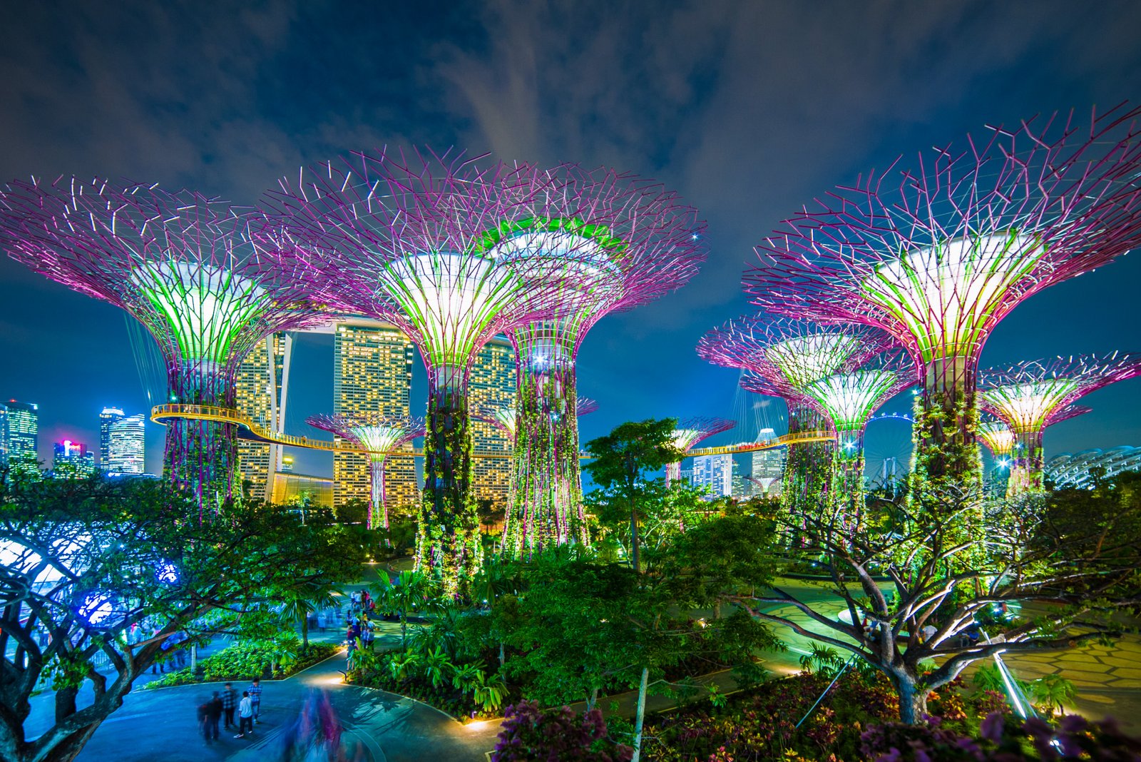 Garden By the Bay